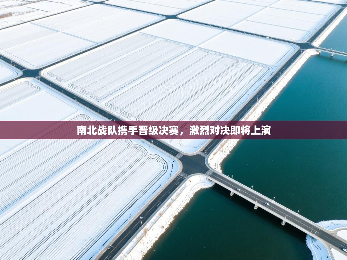 南北战队携手晋级决赛，激烈对决即将上演  第2张