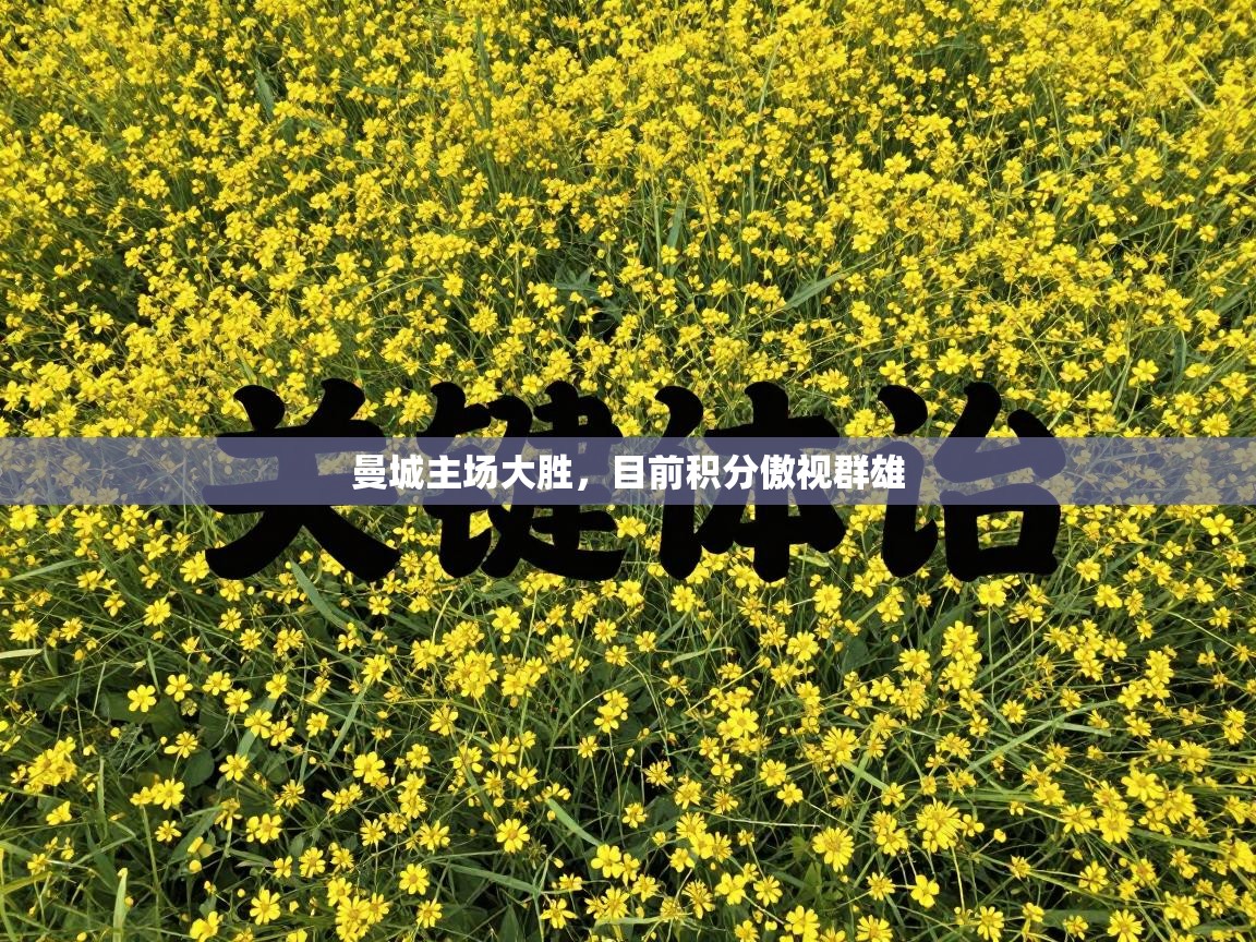 曼城主场大胜，目前积分傲视群雄  第1张