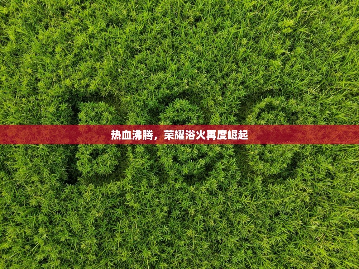 热血沸腾，荣耀浴火再度崛起  第2张